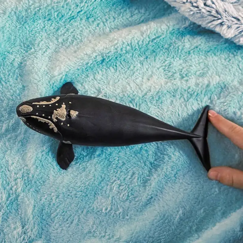 Schleich  14878 Ballena Franca Glacial