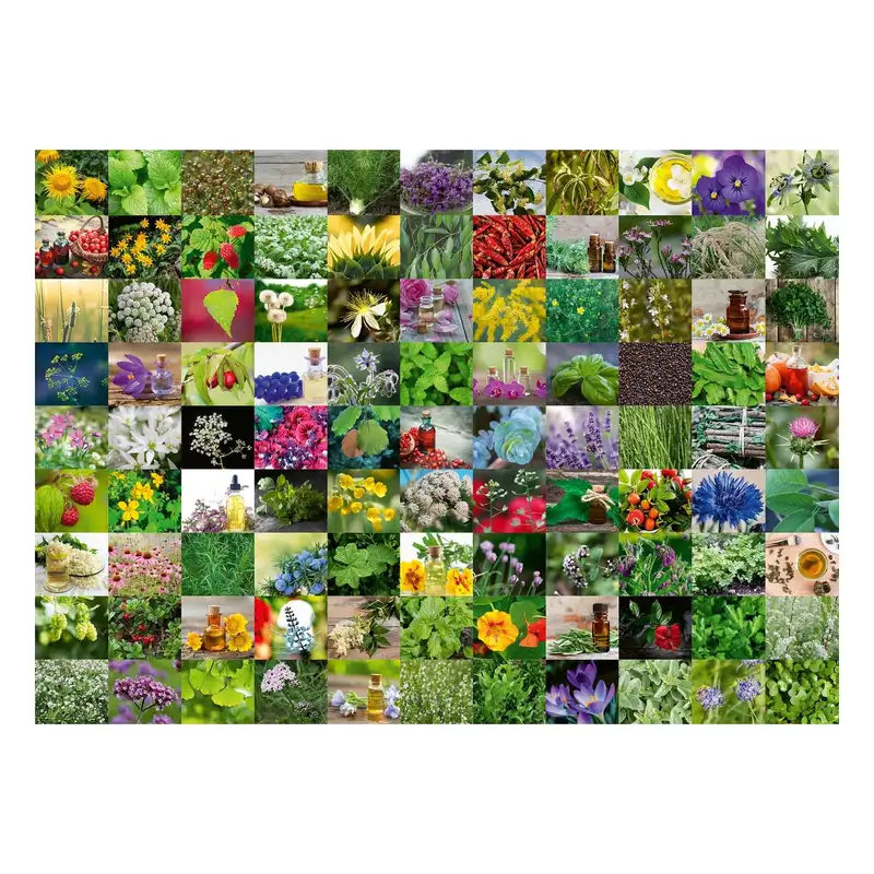 Ravensburger Rompecabezas 12000073 99 Hierbas Y Especias