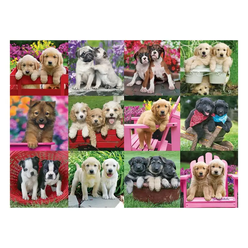 Ravensburger Rompecabezas 12000196 Amigos Cachorros 500 Piezas