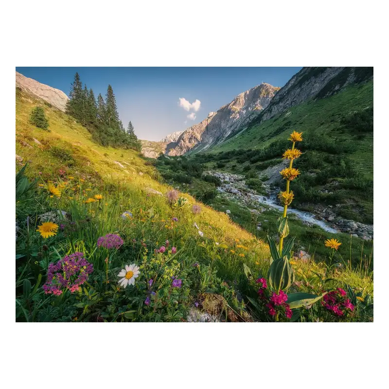 Ravensburger Rompecabezas 12000484 Valle Magico