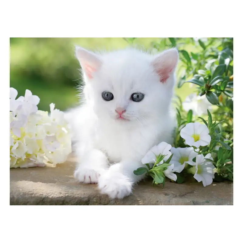 Ravensburger Rompecabezas 12000706 Gatito Blanco