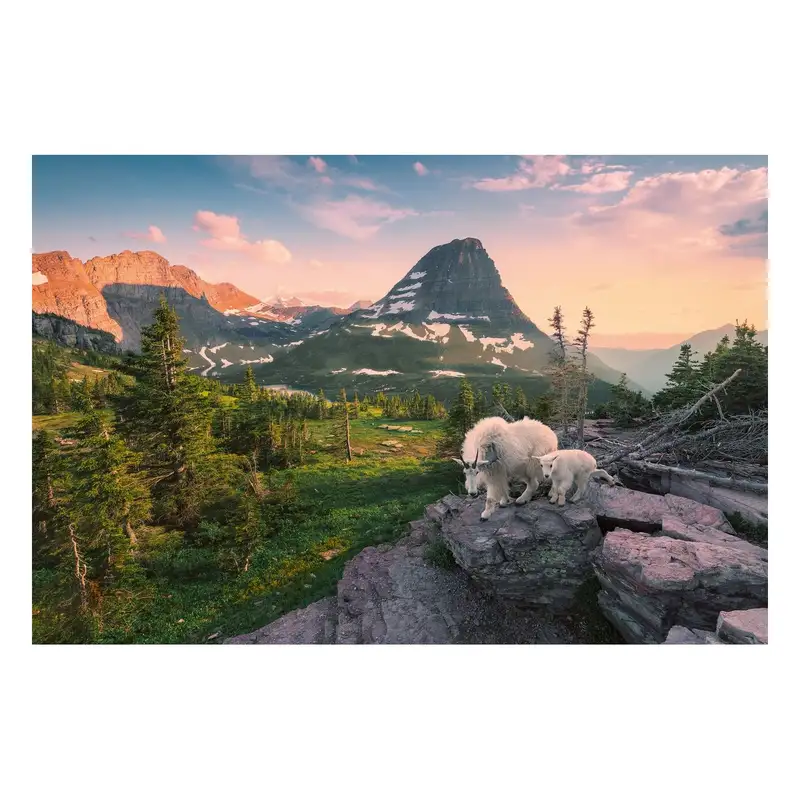 Ravensburger Rompecabezas 12000809 Cabra Alpina Con Su Cria