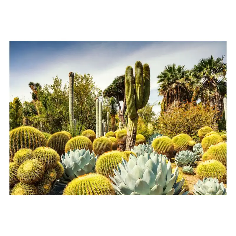 Ravensburger Rompecabezas 12000850 Jardin Desertico Huntington