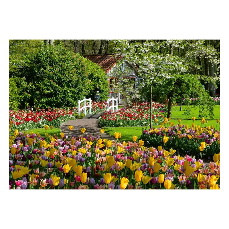 Ravensburger Rompecabezas 12000851 Jardines De Keukenhof