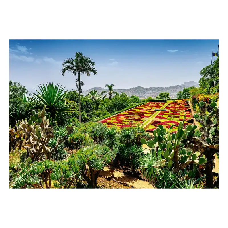 Ravensburger Rompecabezas 12000853 Jardin Botanico Madeira