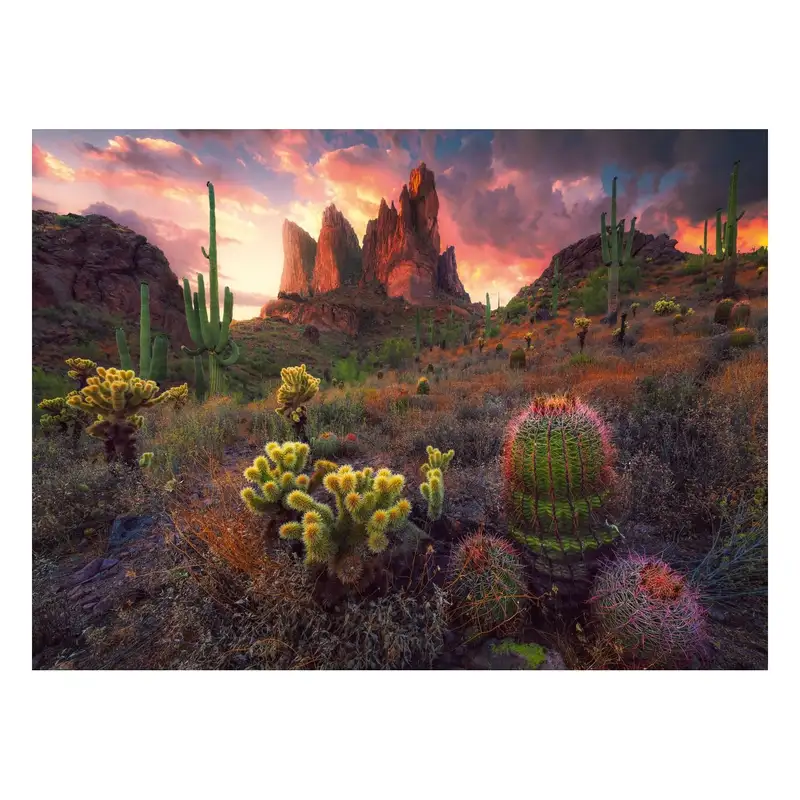 Ravensburger Rompecabezas 12001380 Cactus