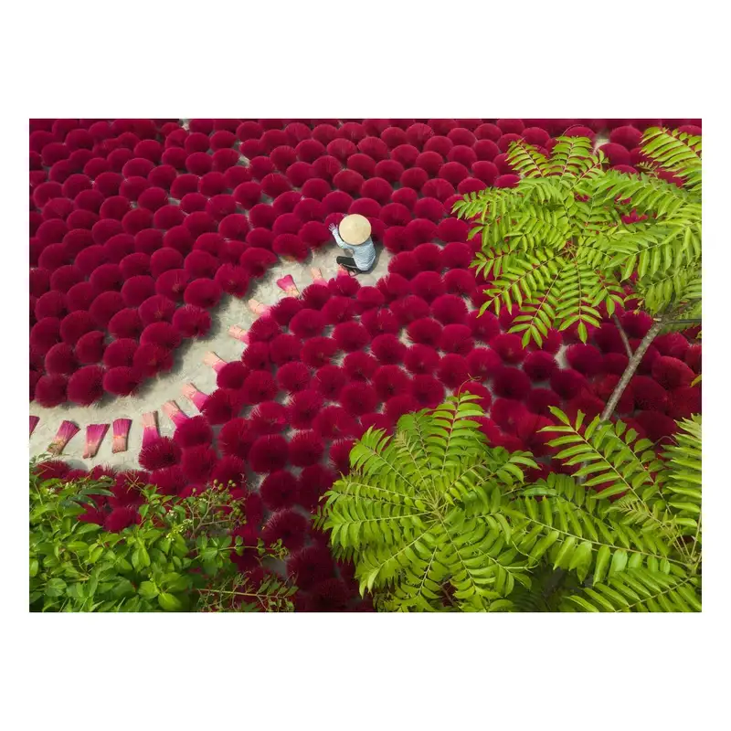 Ravensburger Rompecabezas 12001707 Un Mar De Rojo 500 Piezas