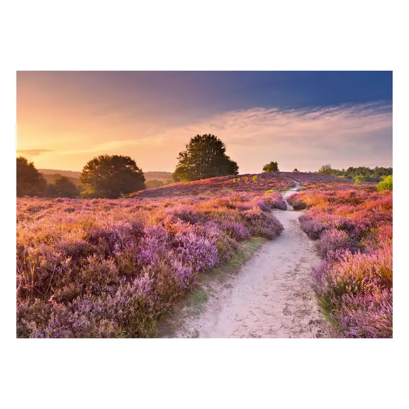 Ravensburger Rompecabezas 12001763 Sendero Rosado 1000 Piezas